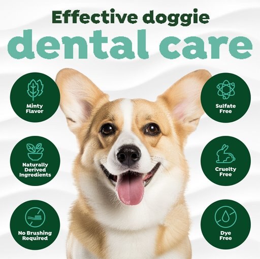 TropiClean Fresh Breath Total Care Dog Dental Kit, 2 count