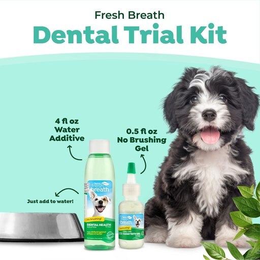 TropiClean Fresh Breath Dog Dental Trial Kit