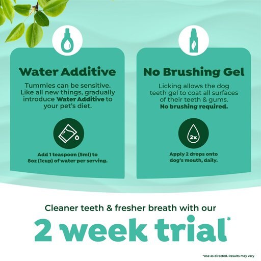 TropiClean Fresh Breath Dog Dental Trial Kit