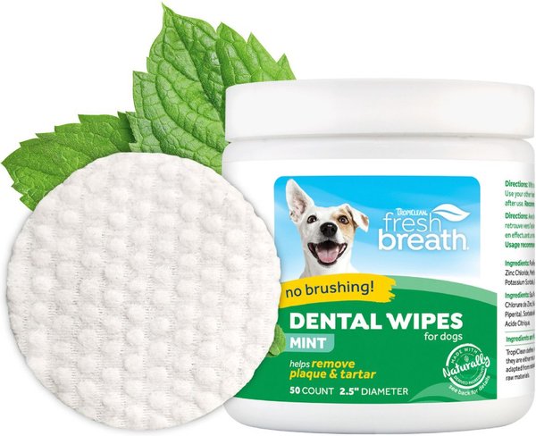 Pet store dental wipes