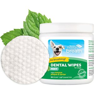 is charcoal toothpaste safe for dogs