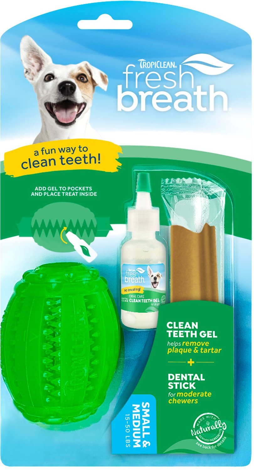 chew toys for bad breath