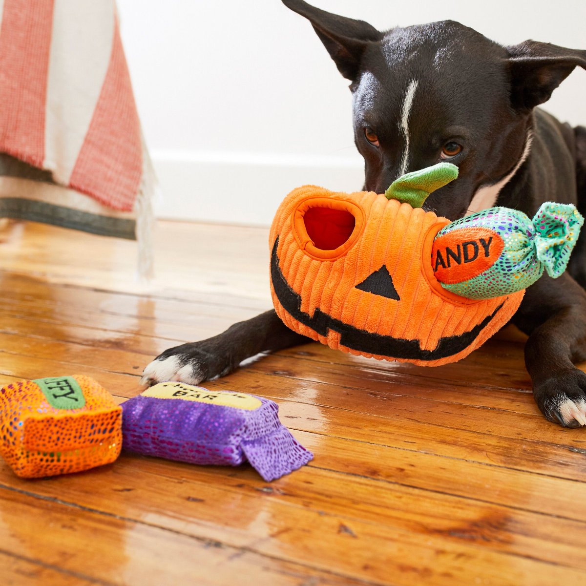 FRISCO Halloween JackoLantern Hide & Seek Puzzle Plush Squeaky Dog
