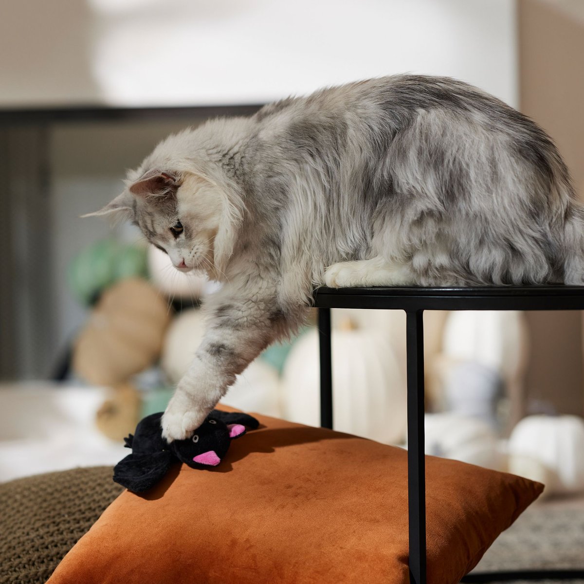 Petmate Itty Bitty Batters Lion Plush Cat Toy with Catnip