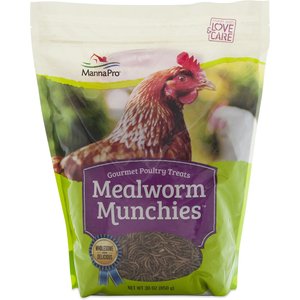 Manna Pro Mealworm Munchies Chicken Treats, 30-oz bag