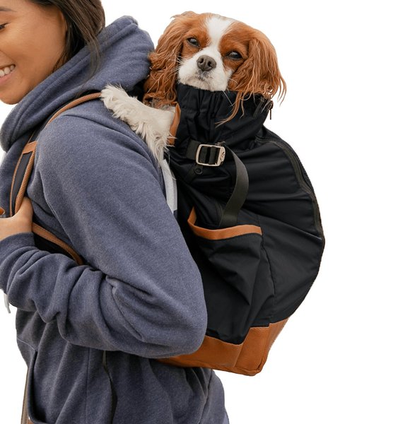 K9 Sport Sack Urban 2 Dog & Cat Carrier Backpack