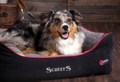 Scruffs Thermal Box Dog Bed, Black & Grey, Small