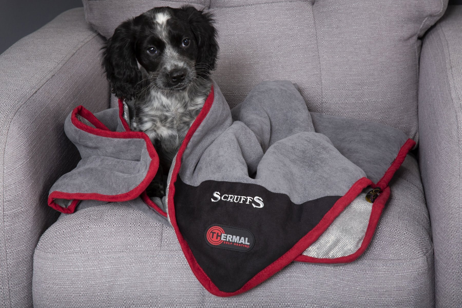 SCRUFFS Thermal Dog Blanket, Black - Chewy.com