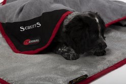 Scruffs Thermal Dog Blanket, Black slide 2 of 8