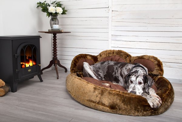 Scruffs grizzly store bear dog bed