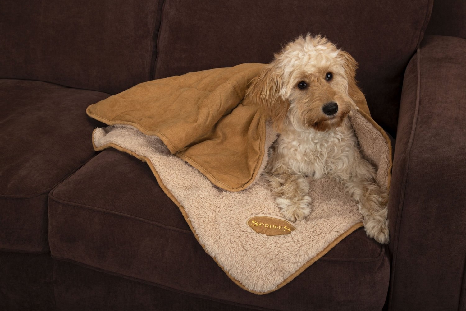 scruffs snuggle blanket for dogs