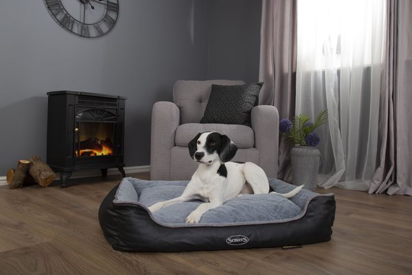 Scruffs chateau orthopedic fashion dog bed