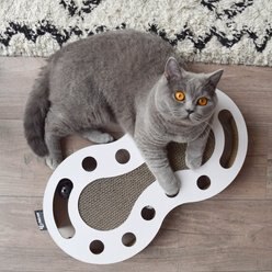 District 70 Snake Cardboard Cat Scratcher Toy, White