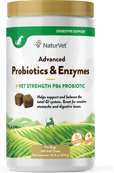 NaturVet Advanced Probiotics & Enzymes Plus Vet Strength PB6 Probiotic Soft Chews Digestive Supplement for Dogs, 240 count slide 1 of 9