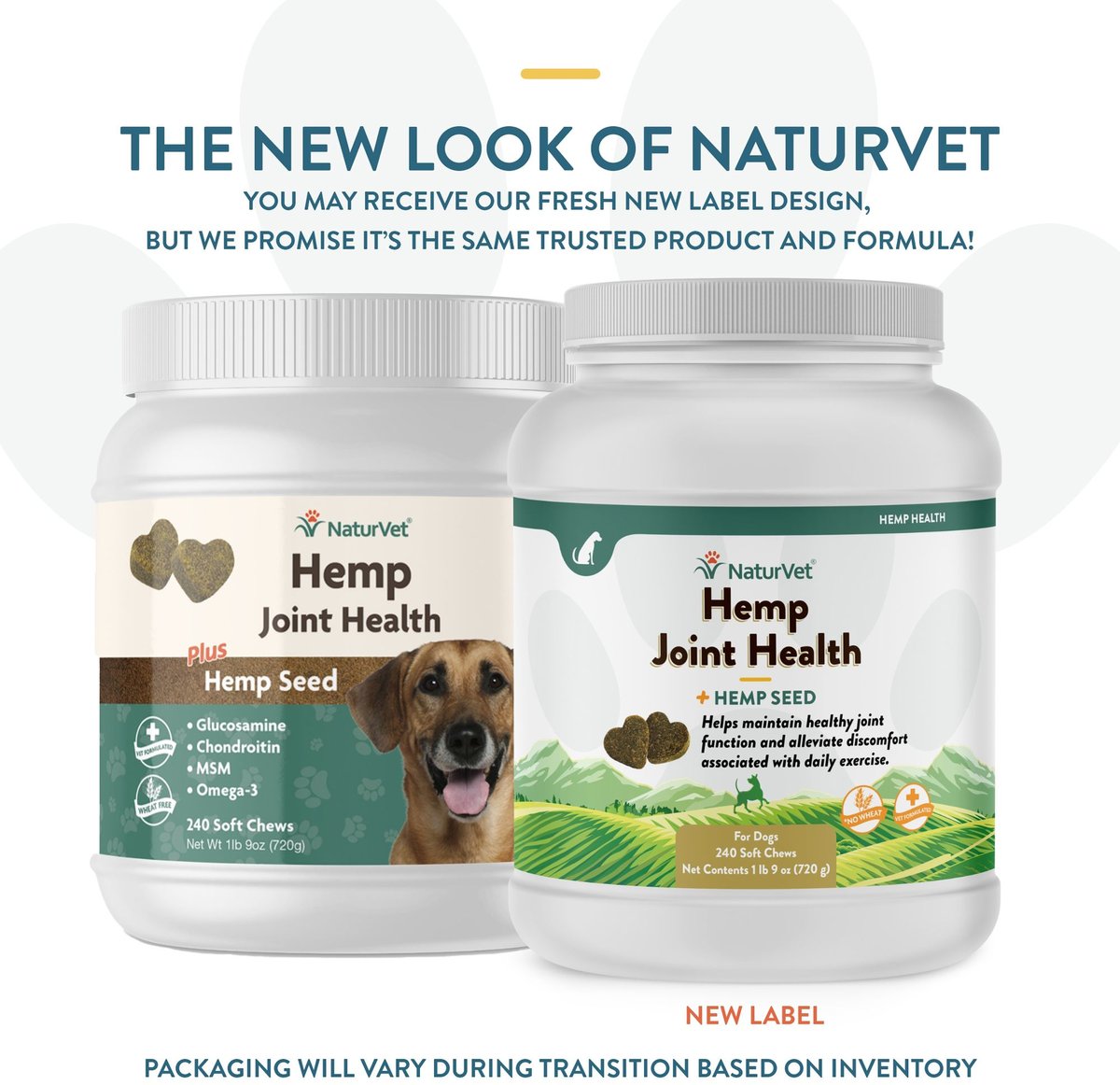 Chewy cbd oil for clearance dogs