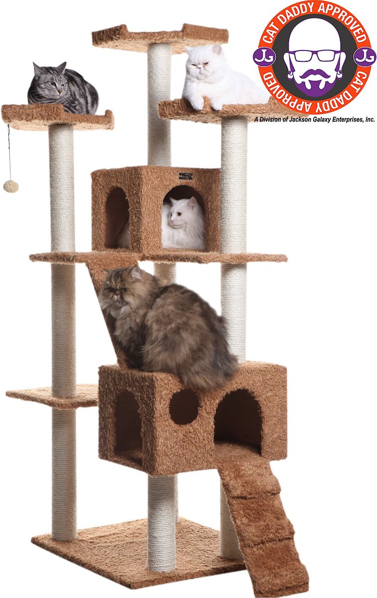 Cat daddy approved outlet cat trees