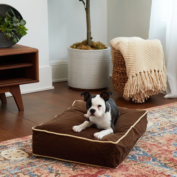 Happy Hounds Bailey Rectangle Pillow Dog Bed w/ Removable Cover, Cocoa, X-Small slide 1 of 6