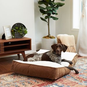 Happy Hounds Bailey Rectangle Pillow Dog Bed with Removable Cover, Latte/Birch, Medium