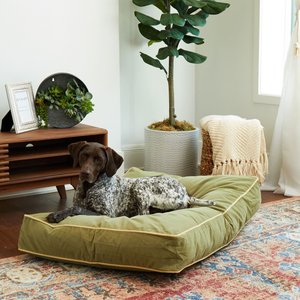 Happy Hounds Bailey Rectangle Pillow Dog Bed with Removable Cover, Moss, Medium