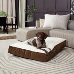 Cozy Pet Reversible Pillow Dog Bed
