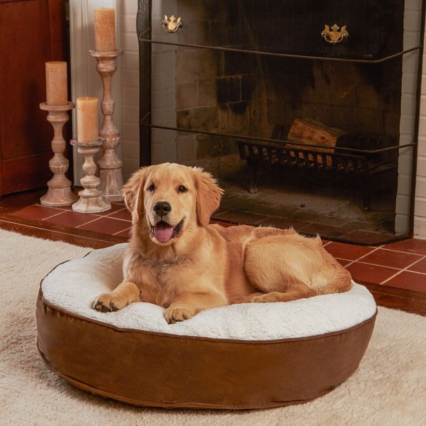 Happy Hounds Scooter Deluxe Round Pillow Dog Bed w/ Removable Cover, Latte, Small slide 1 of 5