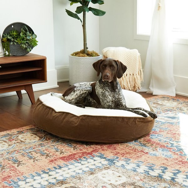 Happy Hounds Scooter Deluxe Round Pillow Dog Bed w/ Removable Cover, Latte, Medium slide 1 of 5