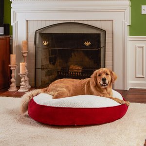 Happy Hounds Scooter Deluxe Round Pillow Dog Bed with Removable Cover, Crimson, Large