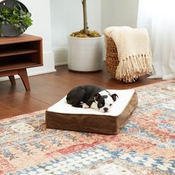 Happy Hounds Otis Orthopedic Pillow Dog Bed with Removable Cover, Latte, X-Small