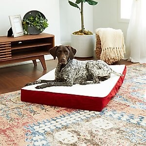 Happy Hounds Otis Orthopedic Pillow Dog Bed with Removable Cover, Crimson, Medium