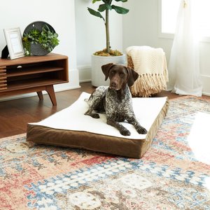 Happy Hounds Otis Orthopedic Pillow Dog Bed with Removable Cover, Latte, Medium