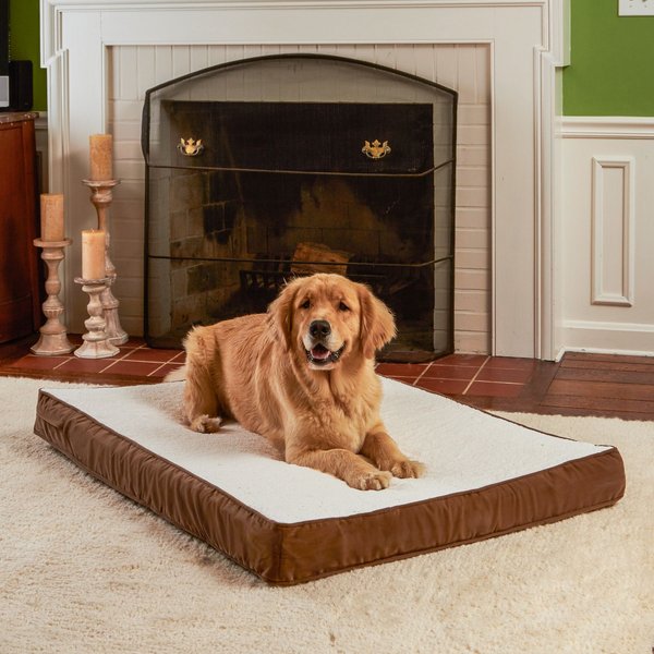 Chewy orthopedic dog clearance beds