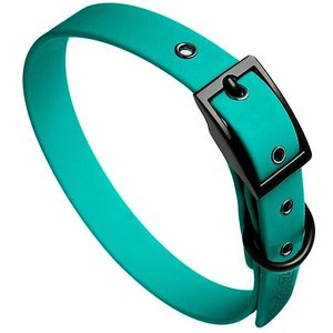 brklz Durable Dog Collar, Turquoise, Medium: 11 to 16-in neck, 3/4-in wide