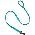 brklz Durable PVC Dog Leash, Turquoise, Tiny/Small: 3.75-ft long, 5/8-in wide