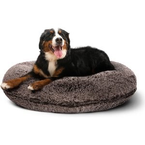 Chewy extra large dog bed best sale