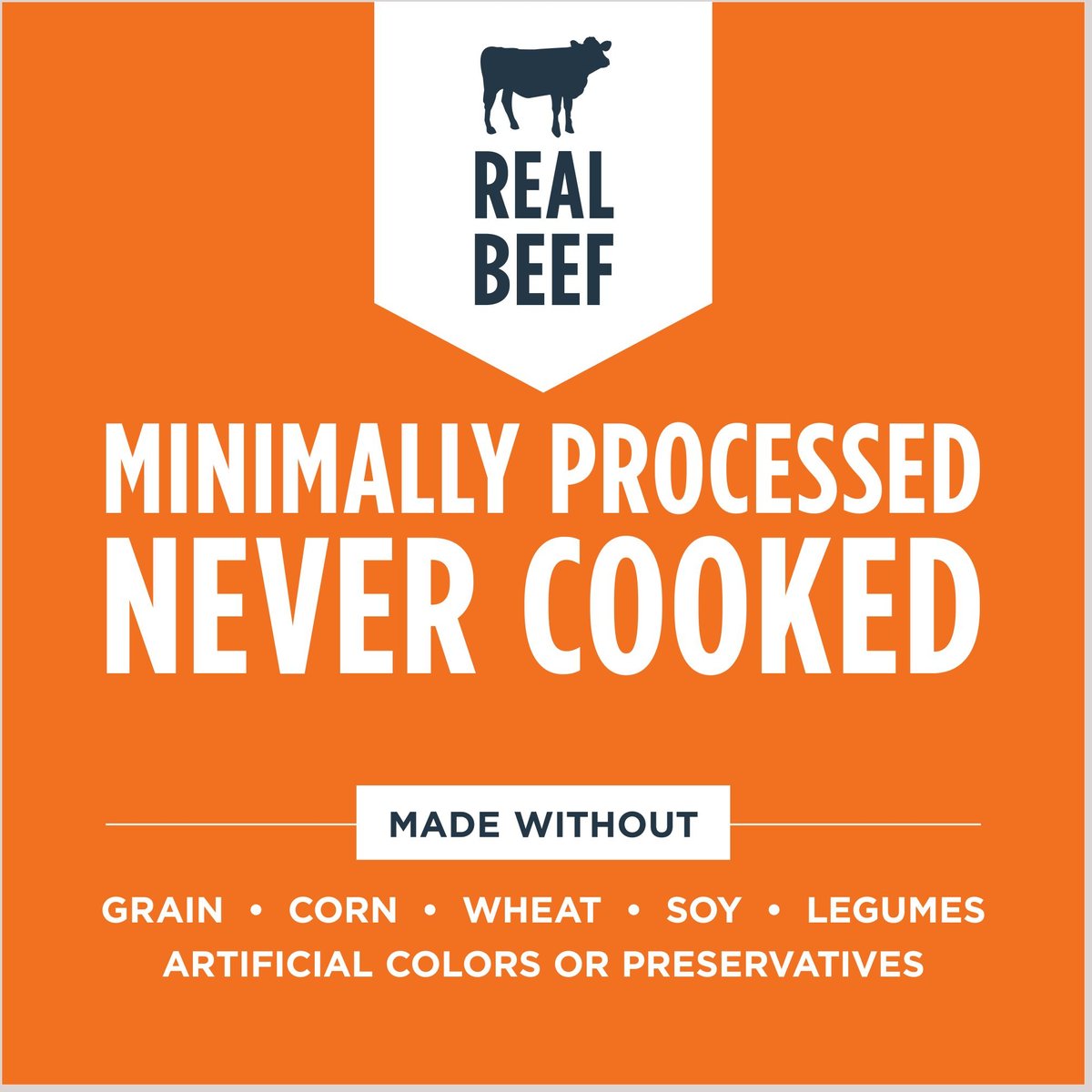 INSTINCT FreezeDried Raw Meals Real Beef Recipe GrainFree Dog Food