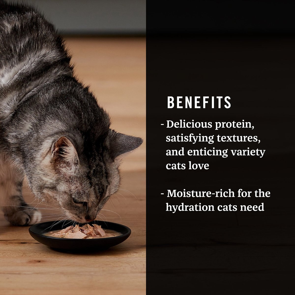 AMERICAN JOURNEY Landmark Broths Tuna, Anchovies and Whitefish Recipe Wet Cat Food Complement