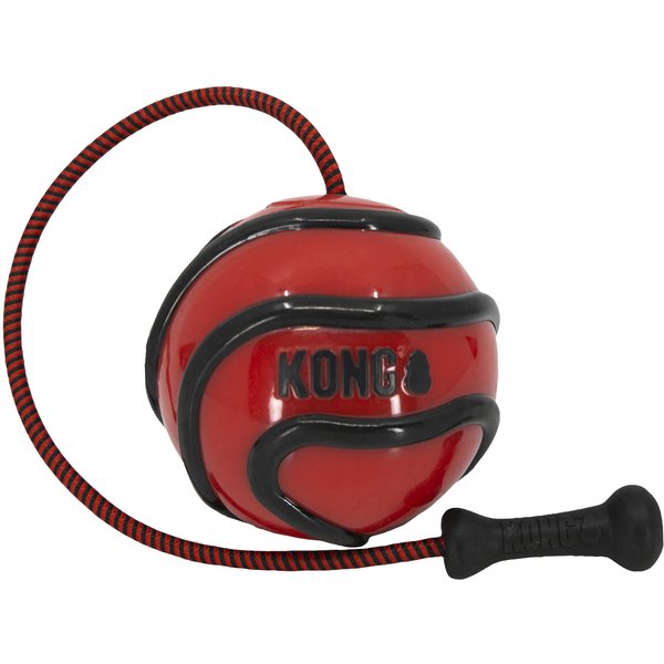 KONG® Bamboo Feeder Ball