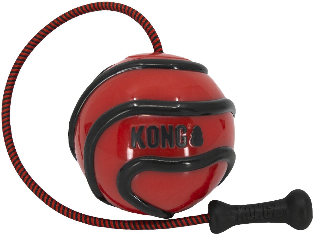 Kong Licks S & L