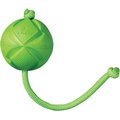 ROGZ by KONG Flingz Ball & Rope Dog Toy