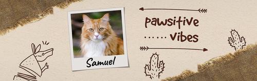 Show full view: Frisco Double Walled "Pawsitive Vibes" Personalized Tumbler, 30-oz cup slide 3 of 7