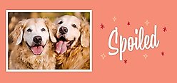 Frisco "Spoiled" White Personalized Coffee Mug, 11-oz slide 2 of 4