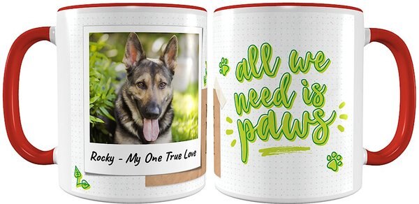 Frisco Double Walled "All We Need Is Paws" Personalized Tumbler