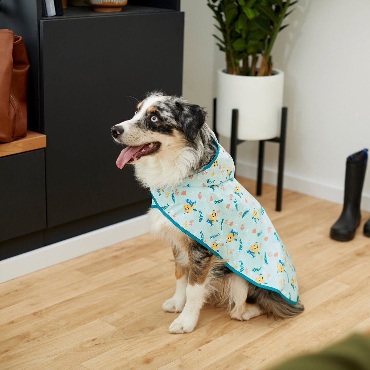 Chewy hot sale dog raincoat