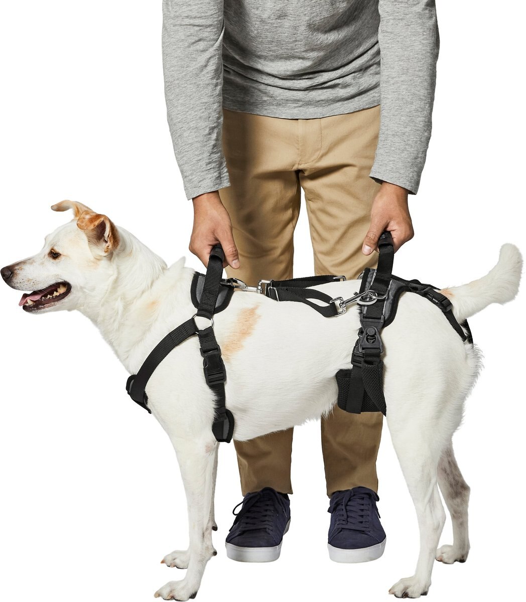 Frisco Front & Rear Lift Handicapped Support Dog Harness