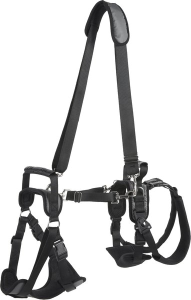 Frisco Front & Rear Lift Handicapped Support Dog Harness, Large slide 1 of 7