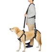 FRISCO Front & Rear Lift Handicapped Support Dog Harness, Large - Chewy.com