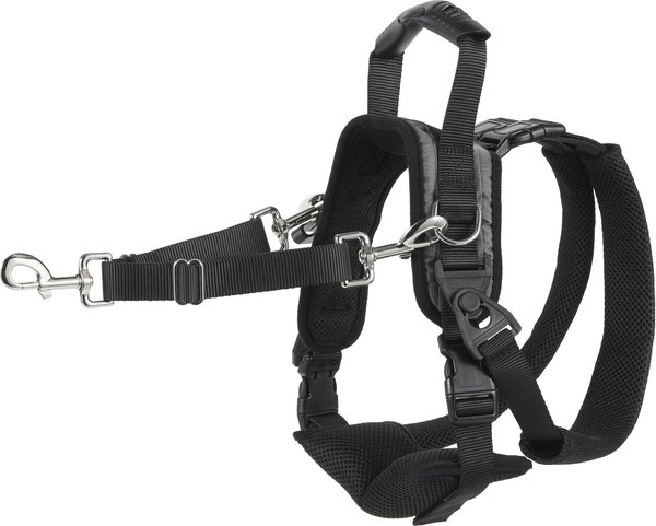 Frisco Rear Lift Handicapped Support Dog Harness, Large slide 1 of 7