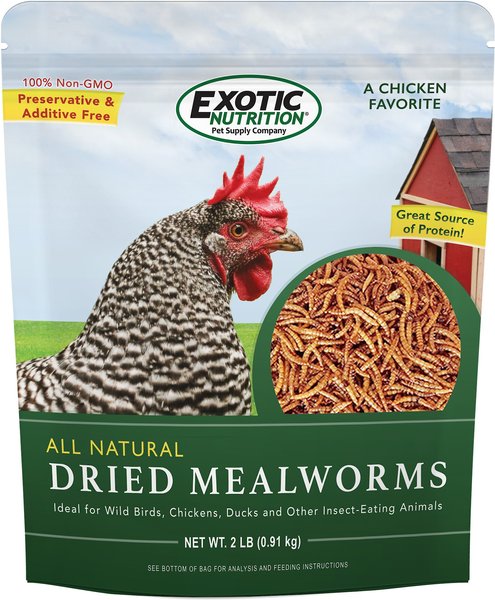 Exotic Nutrition Dried Mealworms, 2-lb bag slide 1 of 5