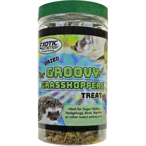 Exotic Nutrition Groovy Grasshoppers Small Animal Treats, 1.41-oz jar