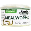 Exotic Nutrition Mealworms Hedgehog Treats, 1.2-oz can